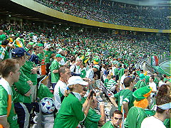 場内のアイルランドサポーター