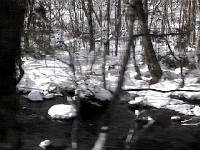 奥入瀬渓流(車窓より)